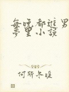 每晚都进男神的梦里小说