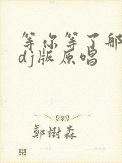 等你等了那么久dj版原唱