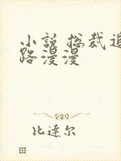 小说 总裁追妻路漫漫