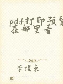 pdf打印预览在哪里看