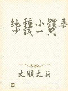 纯种小体泰迪多少钱一只