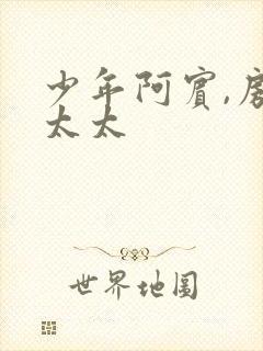 少年阿宾,房东太太