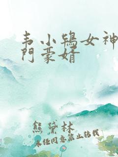 韦小鸨女神的上门豪婿