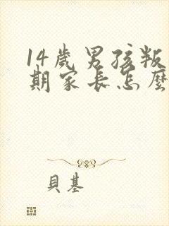 14岁男孩叛逆期家长怎么办?