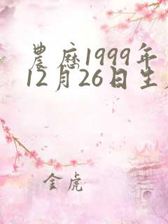 农历1999年12月26日生辰八字