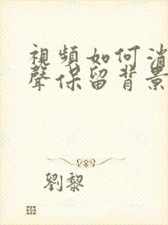 视频如何消除人声保留背景声