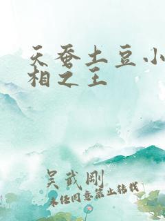 天蚕土豆小说万相之王