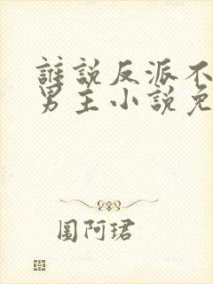 谁说反派不能当男主小说免费阅读