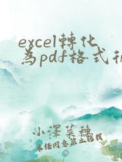 excel转化为pdf格式后格式不完整