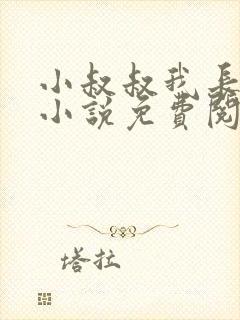小叔叔我长大了小说免费阅读全文