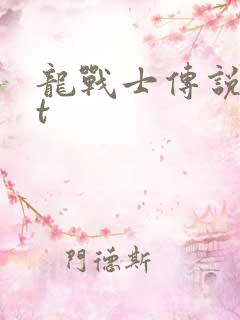 龙战士传说txt