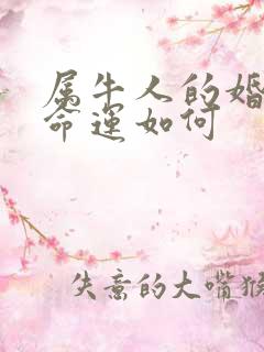 属牛人的婚姻与命运如何