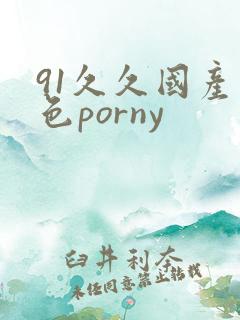 91久久国产九色porny
