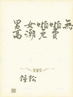 男女啪啪无遮挡高潮免费