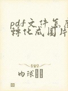 pdf文件怎么转化成图片