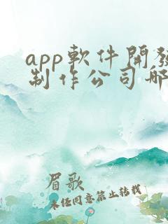 app软件开发制作公司哪家好