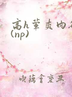 高h荤爽肉欲文(np)