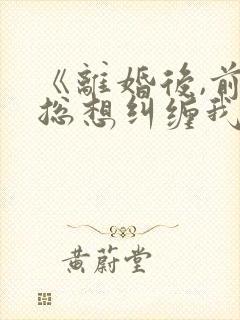 《离婚后,前夫总想纠缠我》