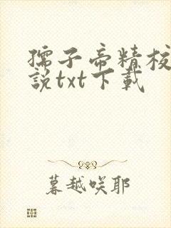 孺子帝精校版小说txt下载