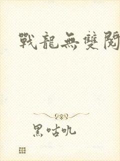 战龙无双阅读