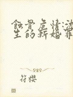 蚀骨危情:沈先生的新婚罪妻 小说