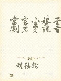 当家小娘子电视剧免费观看全集