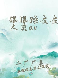 狠狠躁夜夜躁人人爽av