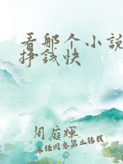 看那个小说软件挣钱快