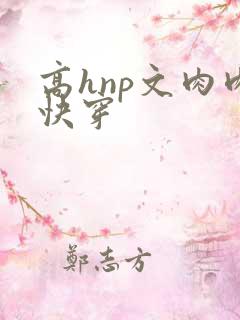 高hnp文肉肉快穿