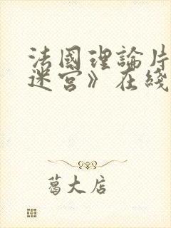 法国理论片《性迷宫》在线观看