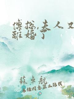 傅总,夫人又闹离婚了