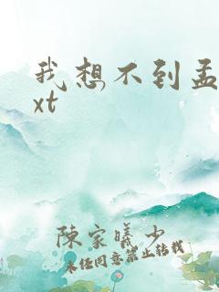 我想不到孟还txt