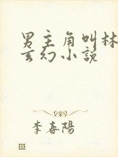 男主角叫林羽的玄幻小说
