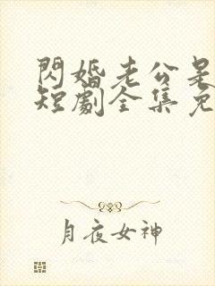 闪婚老公是总裁短剧全集免费播放