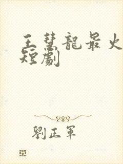 王慧龙最火十部短剧