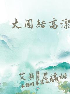大团结高洁