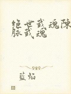 绝世武魂陈枫血脉武魂