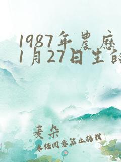 1987年农历1月27日生的命运怎么样