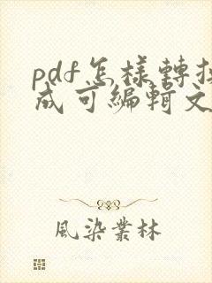 pdf怎样转换成可编辑文档