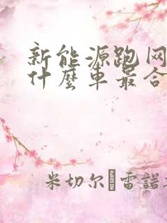 新能源跑网约车什么车最合适
