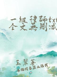 一级律师txt全文无删减