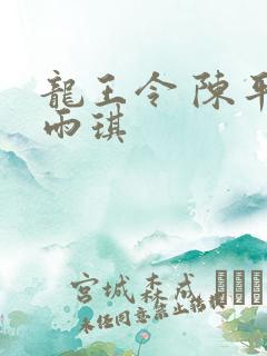 龙王令 陈平苏雨琪
