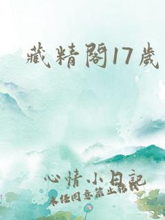 藏精阁17岁