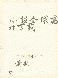 小说全球高武txt下载