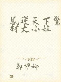 凤逆天下惊世废材大小姐