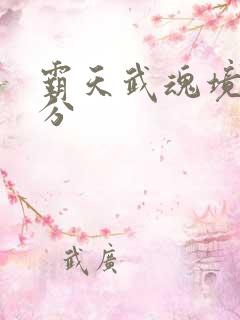 霸天武魂境界划分