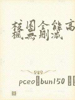 校园全能高手季枫无删减