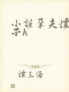 小说孕夫怀孕产子h