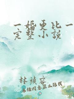 一婚更比一婚高完整小说