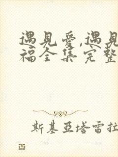 遇见爱,遇见幸福全集完整版